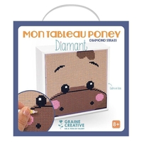 Kit Diamond Painting - tableau Poney