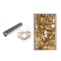 Mini guirlande lumineuse 20 LEDs fil 107 cm + 150 punaises dor