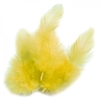 Plumes de coq 10 cm - jaune