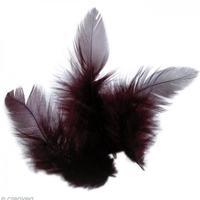 Plumes de coq 10 cm - marron