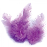 Plumes de coq 10 cm - mauve