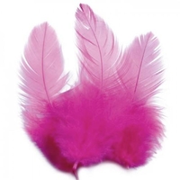 Plumes de coq 10 cm - rose vif