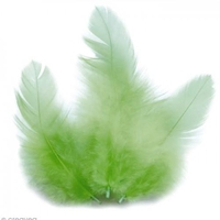 Plumes de coq 10 cm - vert clair