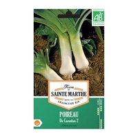 Poireau de carentan bio - Graines