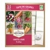 Tapis de graines