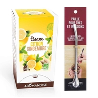 Tisane gingembre et citron bio 20 sachets + paille inox avec filtre