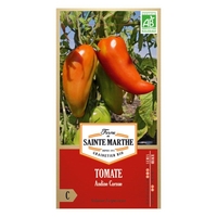 Tomate Andine Cornue bio - Graines