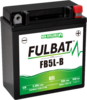 Fulbat FB5L-B Gel