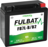 Fulbat FB7L-B/B2 Gel