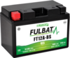 Fulbat FT12A-BS Gel