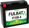 Fulbat FT12B-4 Gel