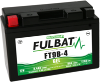 Fulbat FT9B-4 Gel