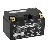 Yuasa YTZ10S (WC)