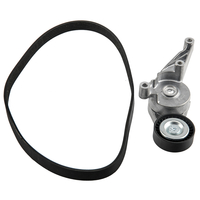 COURROIE + TENDEUR DE COURROIE compatible pour AUDI A3 compatible pour VW GOLF 5 PLUS 1.9 2.0 TDI