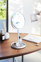 Makeup Mirror with Accessory Tray