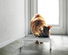 Pet Food Bowl Stand Set