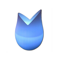 Brumisateur d