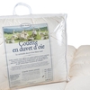 Couette en duvet d