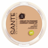 Fond de Teint Compact n°1 Cool Ivory 9g