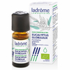 Huile essentielle bio Eucalyptus Globulus 10ml