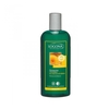 Shampoing Volumateur Miel et Bière - Cheveux fins - 250ml