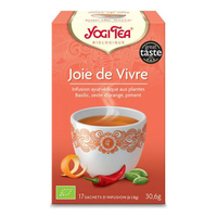 Yogi Tea Joie de Vivre bio 17 sachets