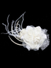 Accessoires de cheveux de mariée