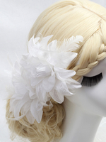 Accessoires de cheveux de mariée