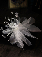 Accessoires de cheveux de mariée