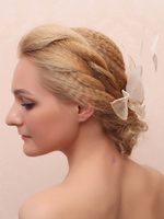 Accessoires de cheveux de plumes de mariage pour la mariée