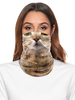 Accessoires de cyclisme Face Cover Seamless Bandana Cat Print Motorcycle Outdoor Tube Mask Déguisements Halloween
