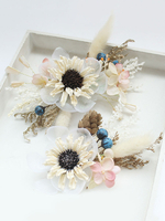 Accessoires pour cheveux de mariée Accessoires pour cheveux de mariée en épingle à cheveux et pince à cheveux