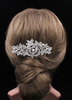 Accessoires pour cheveux peigne alliage argent Strass pour mariage