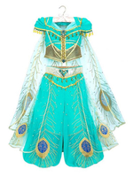 Alladin Flim Cosplay Princess Jasmine Aqua Tulle Chiffon Disney Cartoon 2021 Cosplay Déguisements Halloween