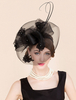 Black Retro Hat Accessoires de costume dDéguisements Halloween Fascinator Vintage Chapeau Femmes Royal Headpieces