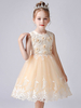Champagne couleur robes de demoiselle dhonneur col bijou sans manches courtes princesse dentelle fleurs formelles enfants robes de reconstitution historique