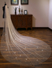 Champagne Wedding Veil Brillante Longue Cathédrale Cascade Un Tier Bord Edge Voiles De Mariée