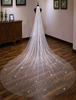 Champagne Wedding Veil Stars Brillante Longue Cathédrale Un Tier Cascade Voile De Mariée
