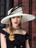 Chapeau blanc Chapeaux de plumes Vintage Royal Cap Accessoires de cheveux Déguisements Halloween Costume