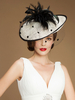 Chapeau de fascination de femmes de chapeau de plumes de cru de filet de tulle de polka Déguisements Halloween