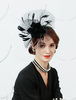 Chapeau Fascinator Rétro Noir Plume Royal Femmes Coiffes Vintage Déguisements Halloween