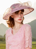 Chapeau Rose Chapeau Rétro Femme Fascinator Chapeaux Royal Accessoires Déguisements Halloween