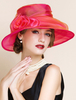Chapeau rétro Déguisements Halloween Vintage Costume Accessoires Rose Femmes Organza Royal Headpieces