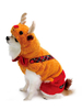 Chien; costume; noël; flanelle; orange; voiture; vêtements animaux