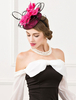 coffure/chapeau rétro de cosplay rose chapeau pour adultes en fibre polyester en tulle de fête de fêtes Accessoire Déguisements Halloween