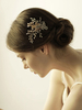 Coiffure de mariage Accessoire or Coiffure de soirée