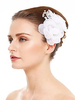 Coiffure De Mariage Accessoires De Cheveux Pour La Mariée