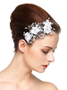 Coiffure De Mariage Accessoires De Cheveux Pour La Mariée