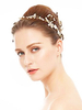 Coiffure De Mariage S Accessoires De Cheveux Pour La Mariée