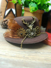 coiffure lolita steampunk bicolore avec ruban ornement métallique Café foncée Tea party Coiffure Accessoire Déguisements Halloween
